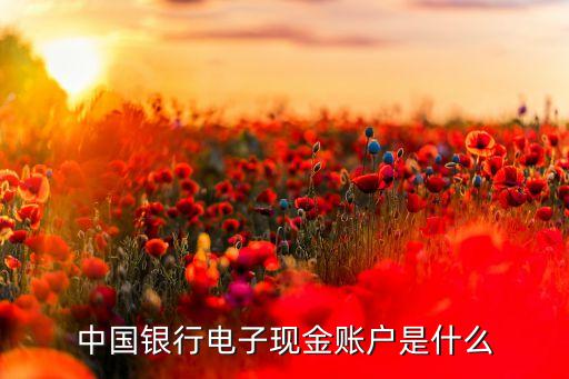 中國(guó)銀行電子現(xiàn)金賬戶是什么