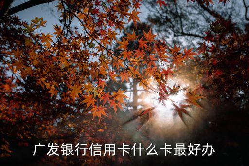 廣發(fā)銀行信用卡什么卡最好辦