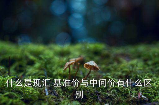 什么叫現(xiàn)匯管理，什么是現(xiàn)匯 基準(zhǔn)價(jià)與中間價(jià)有什么區(qū)別