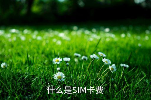 什么是SIM卡費