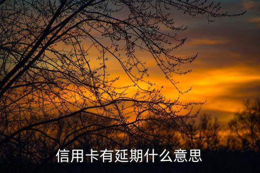 信用卡有延期什么意思