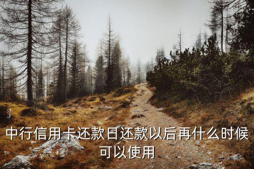 中行信用卡還款日還款以后再什么時候可以使用