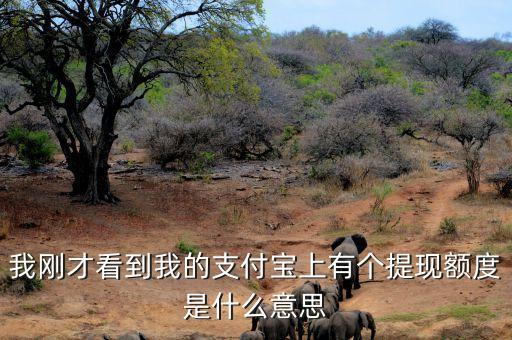 可提現(xiàn)額度什么意思，中國(guó)銀行信用卡可取現(xiàn)額度啥意思