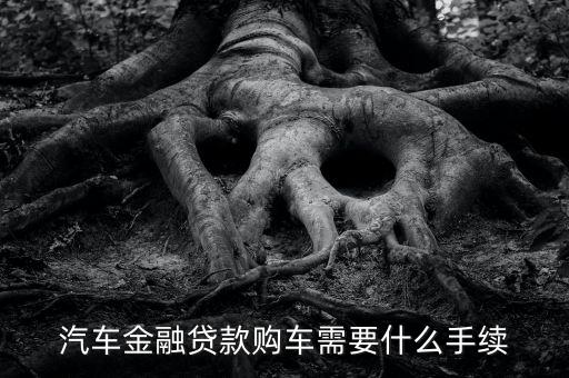 4s金融貸款需要什么手續(xù)，在4s店申請(qǐng)分期購(gòu)車需要什么手續(xù)