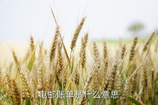 什么叫email賬單，超級(jí)QQ中的郵件賬單是什么意思啊