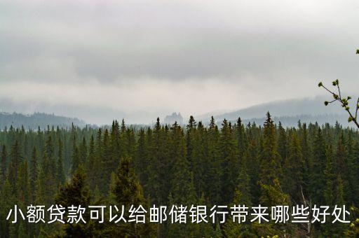 小貸貸多了有什么好處，小額貸款給我們農(nóng)民帶來什么好處
