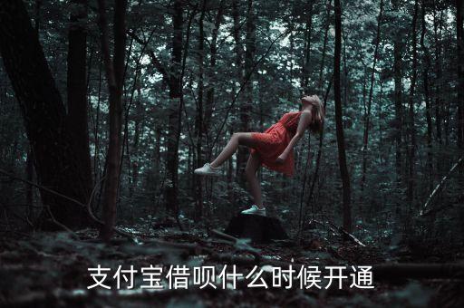 支付寶借唄什么時(shí)候開(kāi)通