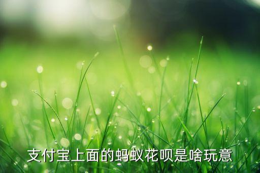 支付寶上面的螞蟻花唄是啥玩意