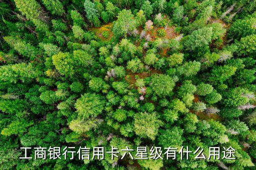 工行卡六星能干什么，工商銀行六星客戶有什么好處
