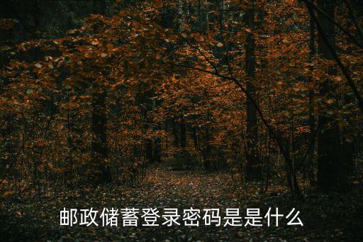 郵政儲(chǔ)蓄登錄密碼是是什么