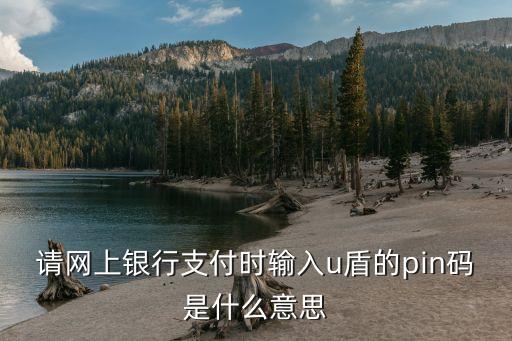 請(qǐng)網(wǎng)上銀行支付時(shí)輸入u盾的pin碼是什么意思