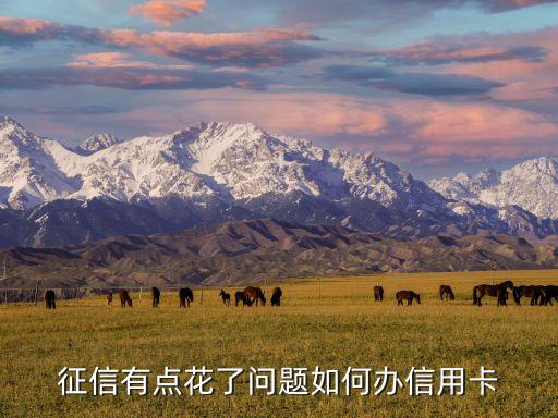 征信有點(diǎn)花了問題如何辦信用卡