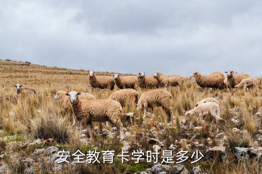 安全教育卡學(xué)時(shí)是多少