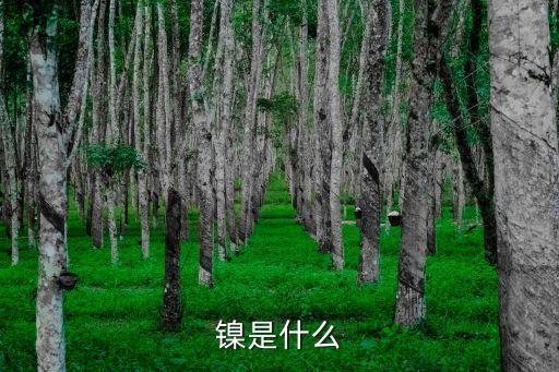 鎳是什么