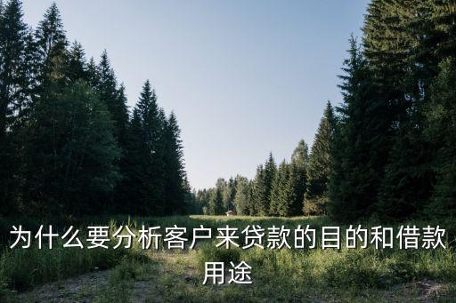 為什么要分析客戶來貸款的目的和借款用途