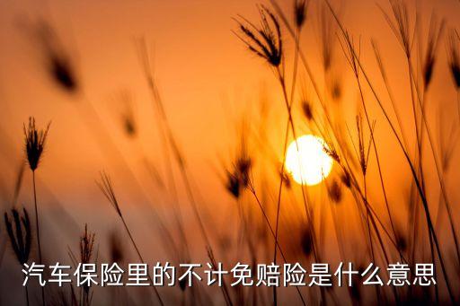 汽車保險(xiǎn)里的不計(jì)免賠險(xiǎn)是什么意思