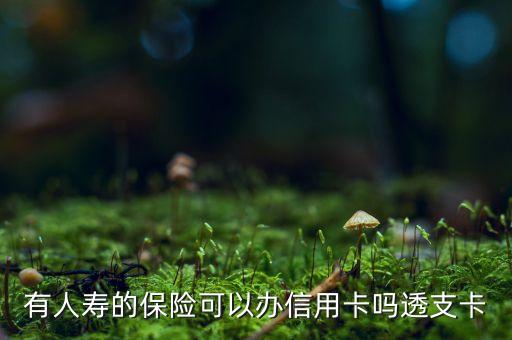 有人壽的保險(xiǎn)可以辦信用卡嗎透支卡