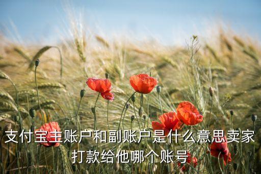 支付寶的主賬號(hào)是什么意思啊，支付寶主賬戶和副賬戶是什么意思賣(mài)家打款給他哪個(gè)賬號(hào)