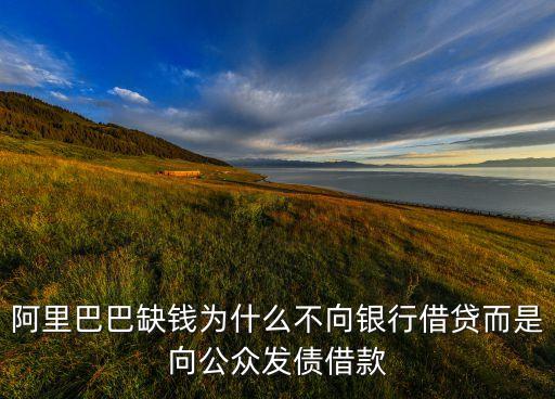 阿里為什么貸款公司，阿里貸款為什么不貸給溫州地區(qū)的