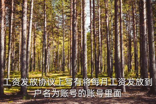 工資卡戶名填什么意思，工資發(fā)放協(xié)議上寫有將每月工資發(fā)放到戶名為賬號(hào)的賬號(hào)里面
