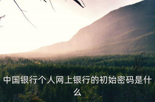 中國銀行個(gè)人網(wǎng)上銀行的初始密碼是什么