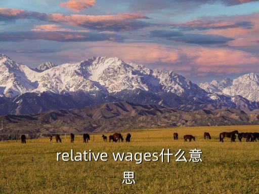 relative wages什么意思