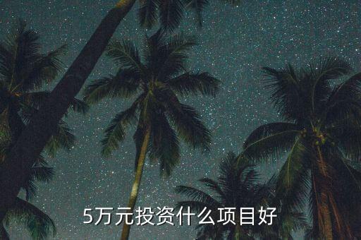 5萬元投資什么項目好