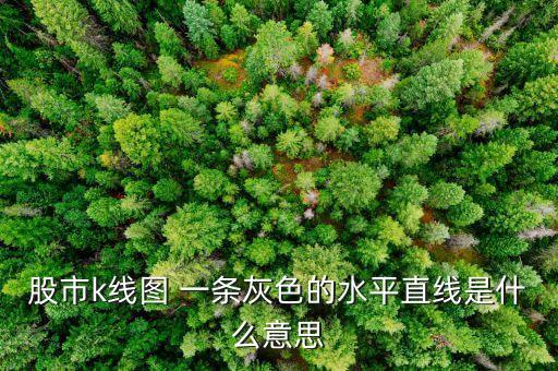 股票灰色柱線代表什么意思，股市k線圖 一條灰色的水平直線是什么意思