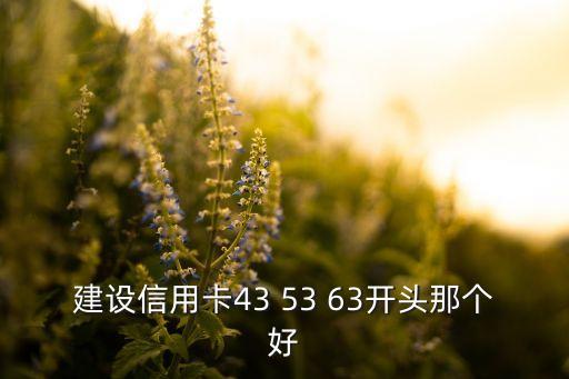 建設(shè)信用卡43 53 63開頭那個(gè)好