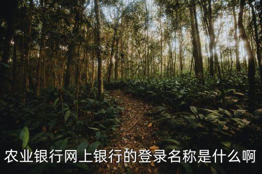農(nóng)業(yè)銀行網(wǎng)上銀行的登錄名稱是什么啊
