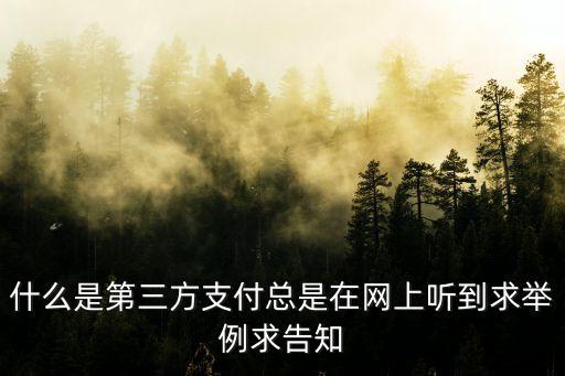 什么是手機(jī)第三方支付，什么是第三方支付