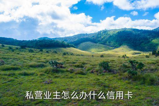 私營業(yè)主辦什么信用卡，本人是做生意的 想辦個信用卡 辦什么行方便