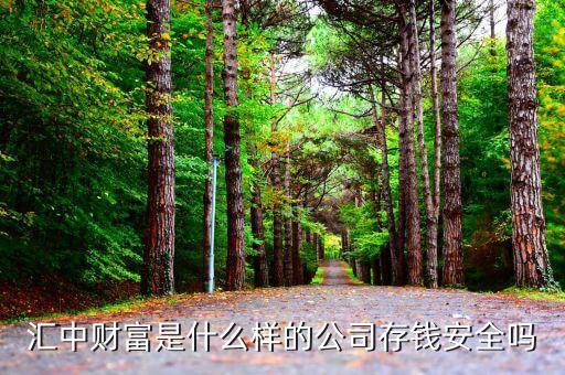 匯中財富是什么樣的公司存錢安全嗎