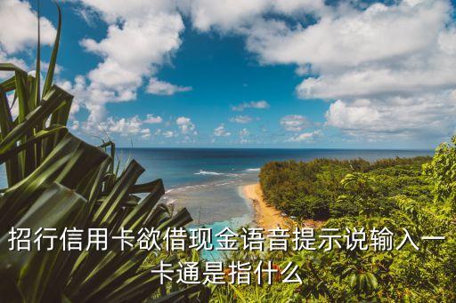 招行信用卡欲借現(xiàn)金語(yǔ)音提示說(shuō)輸入一卡通是指什么