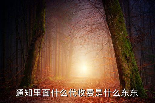 通知里面什么代收費是什么東東