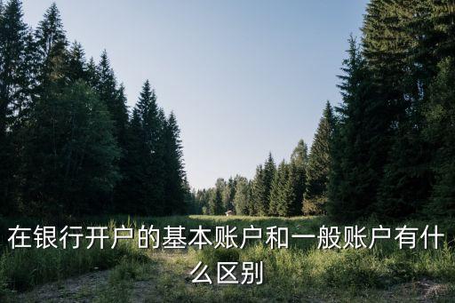 在銀行開戶的基本賬戶和一般賬戶有什么區(qū)別