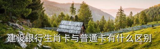 建設(shè)銀行生肖卡與普通卡有什么區(qū)別