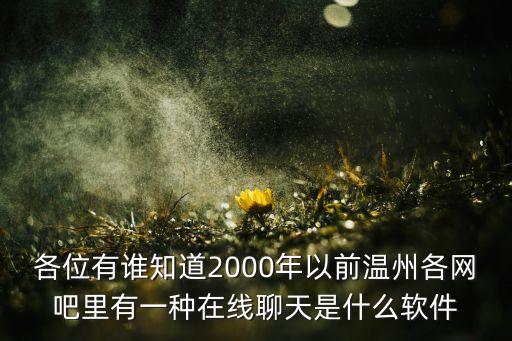 2000年用什么聊天，網(wǎng)上最早的聊天工具叫什么那一年出現(xiàn)的QQ