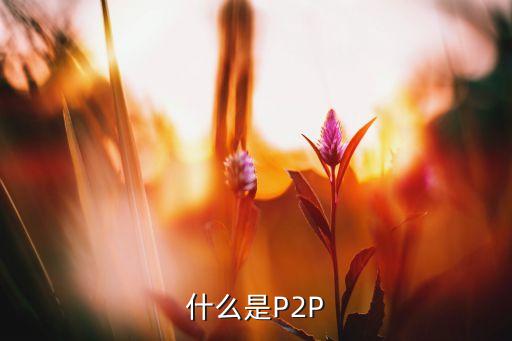 什么是P2P