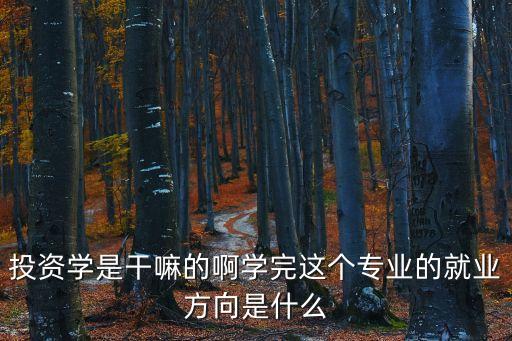 學(xué)投資能干什么的，學(xué)投資理財(cái)專業(yè)將來(lái)能干什么工作