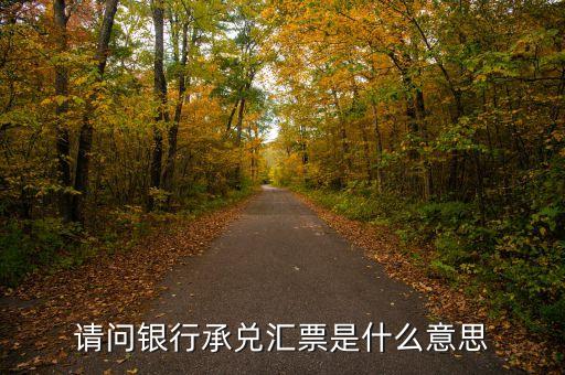 銀行承兌匯票是什么東西，銀行承兌匯票是什么