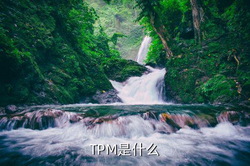 TPM是什么