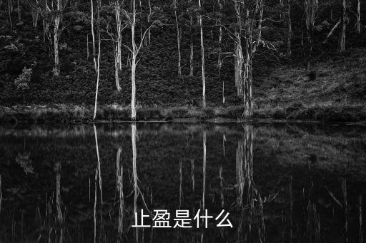 止盈是什么
