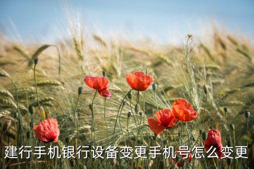 建行設(shè)備卡號(hào)是什么情況，建設(shè)銀行自助設(shè)備上的編號(hào)有什么用
