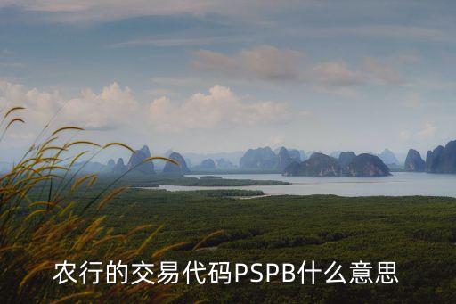 農(nóng)行轉(zhuǎn)賬交易碼是什么情況，農(nóng)業(yè)銀行交易碼4211是什么意思