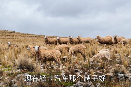 現(xiàn)在輕卡汽車那個牌子好