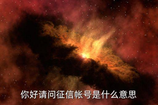 你好請問征信帳號是什么意思