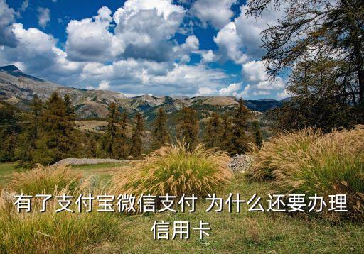 為什么要開(kāi)信用卡支付寶，辦信用卡的為什么要支付寶賬號(hào)和密碼