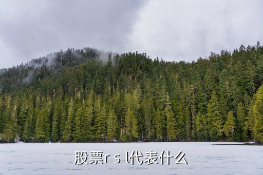 股票r s l代表什么