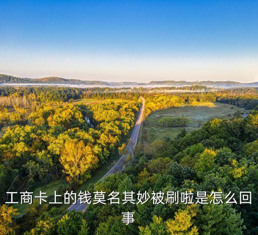 工行手機(jī)刷是什么情況，今天在淘寶網(wǎng)上買東西用手機(jī)快捷支付的工行短信提示是pos支